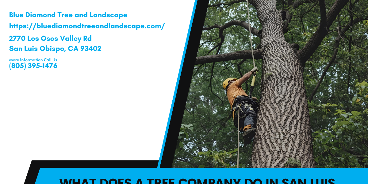 What does a tree company do in San Luis Obispo