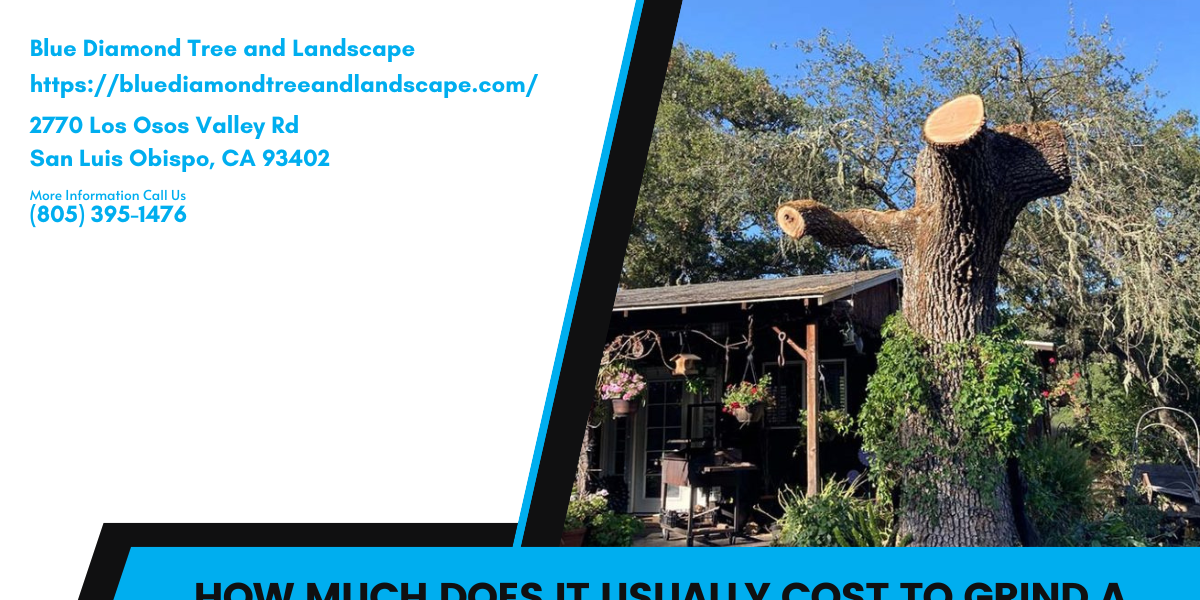How much does it usually cost to grind a stump in San Luis Obispo?