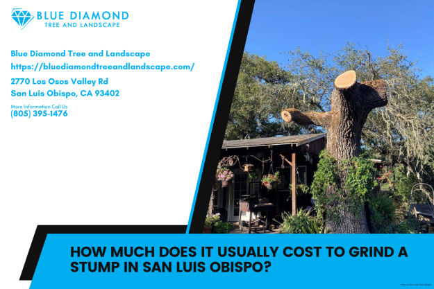 How much does it usually cost to grind a stump in San Luis Obispo?